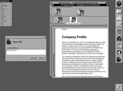 SpiderWoman early web browser viewing object.com home of Object Technologies Inc, a website without javascript, without analytics...just plain HTML and you'll notice the images don't render either. No inline images in the earliest web.