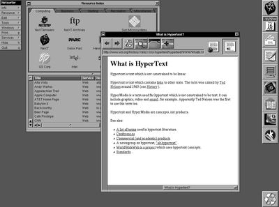 netsurfer